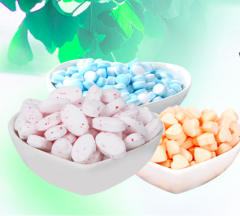 Sugar free Mints